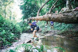 BIB: 
                            <button type="button" onclick="openModal(25433995)" class="btn btn-primary btn-sm float-right btn-popup" data-toggle="modal" data-target=".modal-high-quality">
                        <i class="fas fa-shopping-cart"></i> Add to Cart
                    </button>
                                            <button type="button" onclick="isThisMe(25433995, true)" class="btn btn-success btn-sm float-right btn-popup btn-isme hidden" data-toggle="tooltip" data-placement="bottom" title="นี่คือรูปของคุณใช่ไหม คลิกที่นี่เพื่อเอาเข้าอัลบั้ม">
                        <i class="fas fa-plus"></i> Add to album
                    </button>
                    <button type="button" onclick="isThisMe(25433995, false)" class="btn btn-warning btn-sm float-right btn-popup btn-isnotme hidden">
                        <i class="fas fa-ban"></i> Remove from album
                    </button>